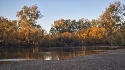 Albury