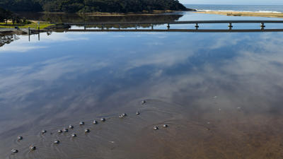 Bega River outlet