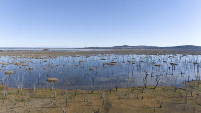 Seven Mile Swamp