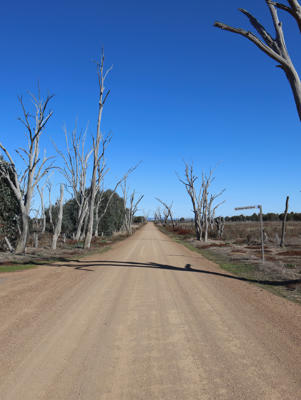 Winton North