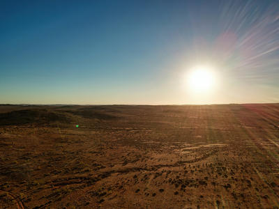 Living Desert