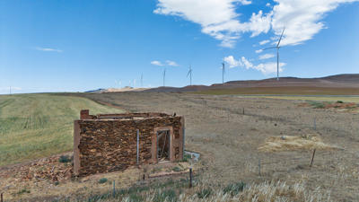 Burra