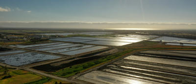 South East Water