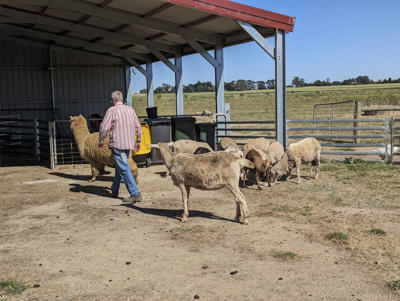 New Horizons Farm Stay