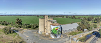 Picola Silo Art