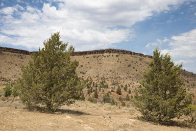 Parachilna Gorge