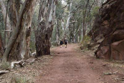 Wilpena Pound