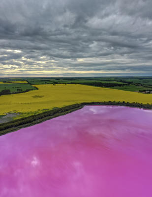 Dimboola Pink Lake