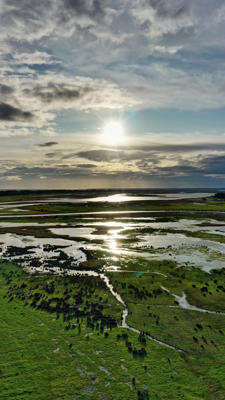 Venus bay