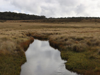 Long Plain