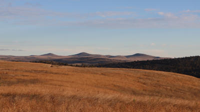 Monaro Plains