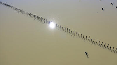 Lake Victoria