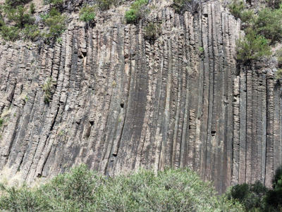 Organ Pipes National Park