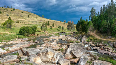 Tumut