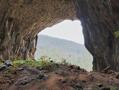 Yarrangobilly Caves