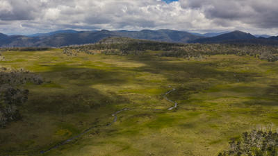 Howitt High Plains