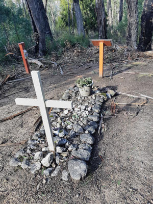 Kitty Kanes Grave